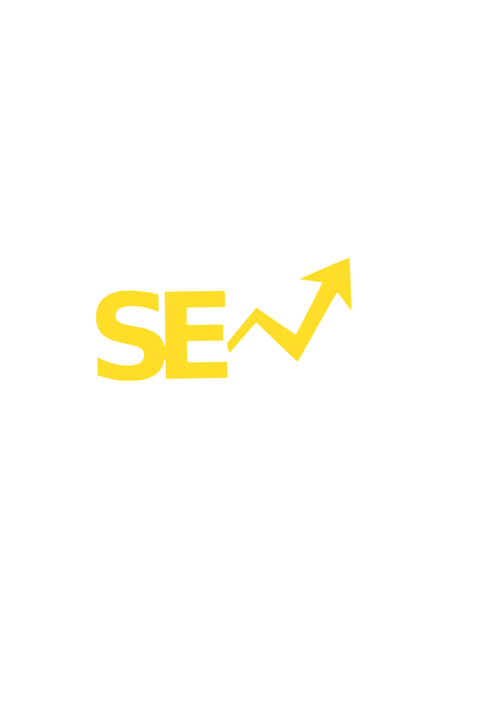 Seo Expert